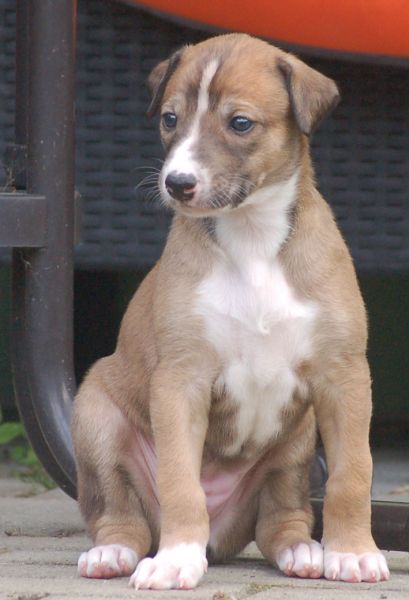files/_uploads/2006_87_Woche4/Heaven1.jpg