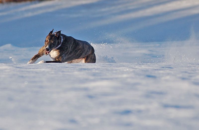 files/_uploads/2007_81_SchneeundSonne/Bibi3.jpg