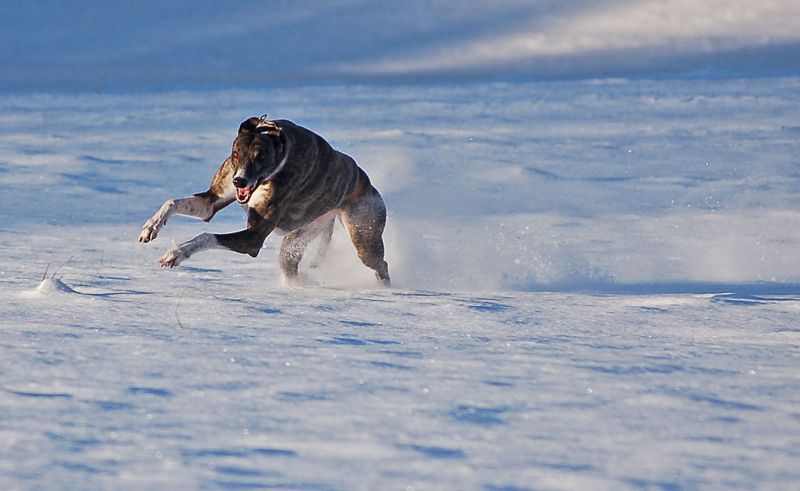 files/_uploads/2007_81_SchneeundSonne/Bibi5.jpg