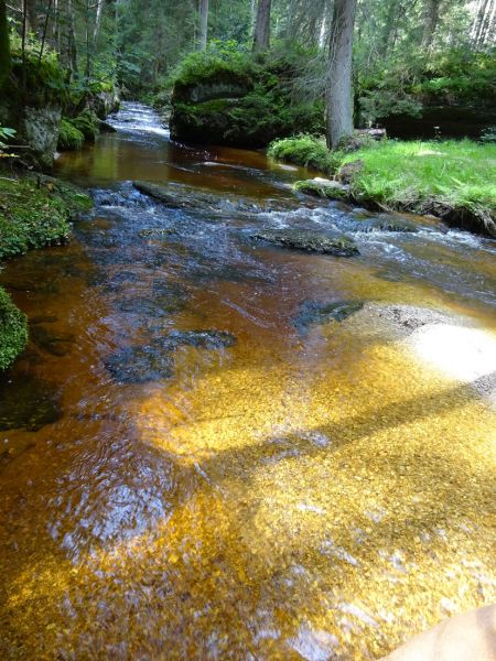 files/_uploads/2007_86_MuehlviertlerAlmTeil4/Wasser5.jpg