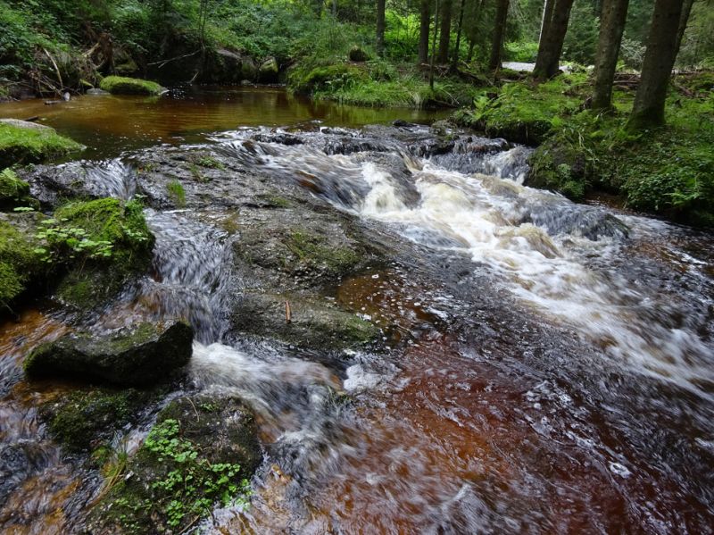 files/_uploads/2007_86_MuehlviertlerAlmTeil4/Wasser6.jpg