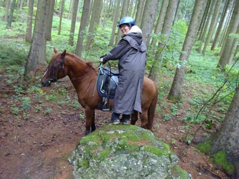 files/_uploads/2007_87_MuehlviertlerAlmTeil3/SusiAufstiegshilfe1.jpg