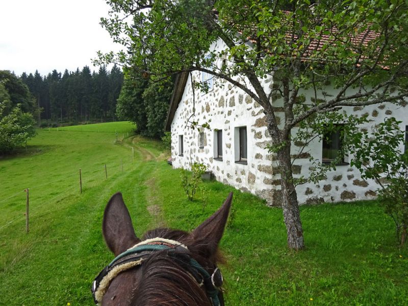 files/_uploads/2007_88_MuehlviertlerAlmTeil2/TimberHaus9.jpg