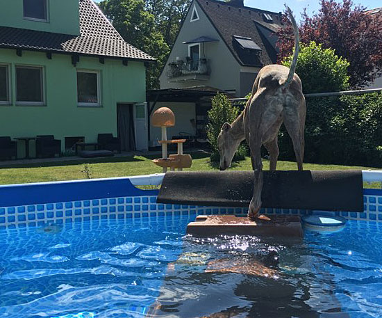 files/_uploads/2007_91_Sommerhitze/PoolAnnie2.jpg