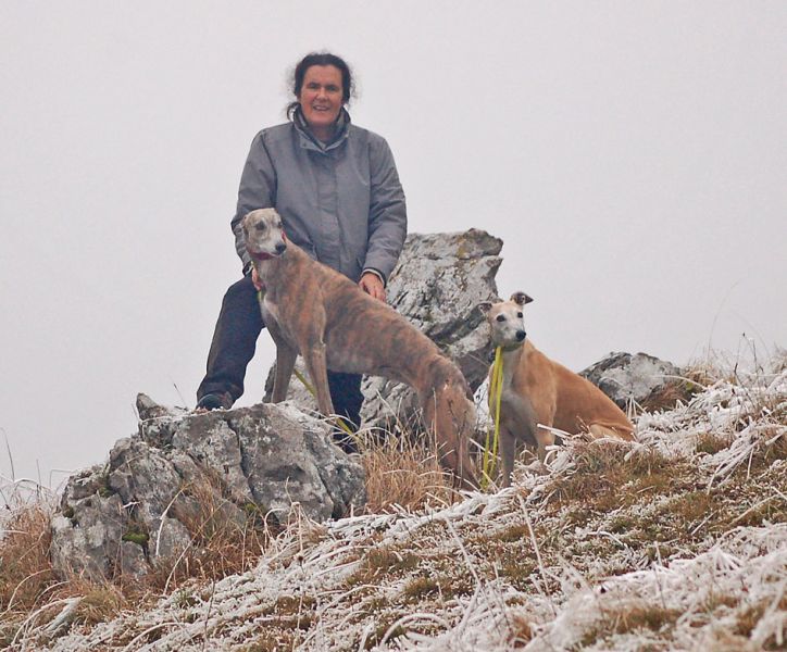 files/_uploads/2009_62_Gaisstein/SchneeICH1.jpg
