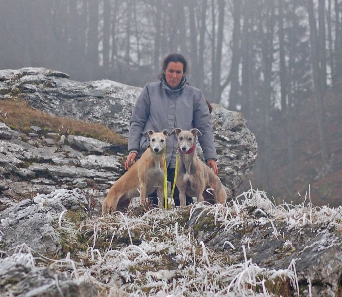 files/_uploads/2009_62_Gaisstein/SchneeICH5.jpg