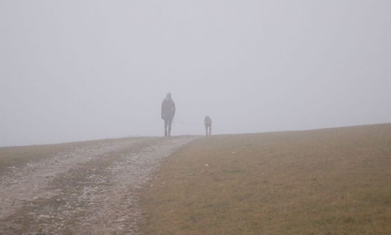 files/_uploads/2009_62_Gaisstein/Veronika1.jpg