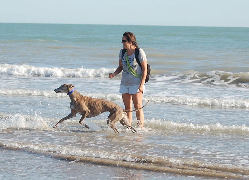 files/_uploads/2009_63_CavallinoTeil1/IchimMeer6.jpg