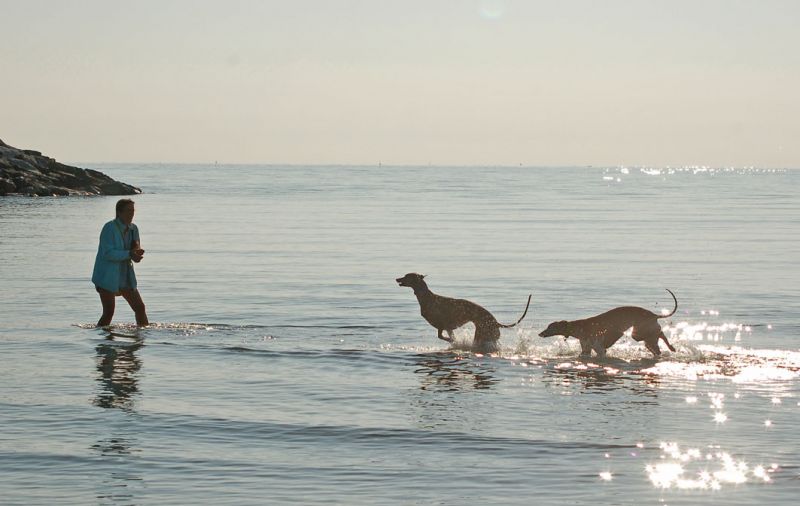 files/_uploads/2009_63_CavallinoTeil1/Meerundich9.jpg