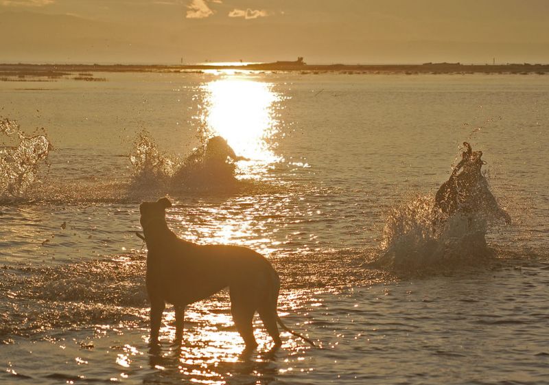files/_uploads/2009_65_italiensolangeesnochgeht/alle3speed_Sonnenuntergang2.jpg