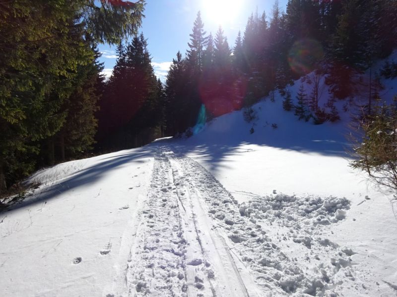 files/_uploads/2009_82_vom Sand in den Schnee/Weg.jpg