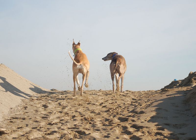 files/_uploads/2009_83_AbschiedvomStrand/6AnnieChoice4.jpg