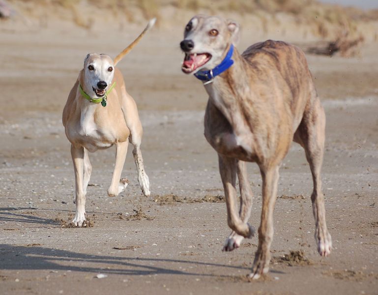 files/_uploads/2009_83_AbschiedvomStrand/6AnnieChoice7.jpg