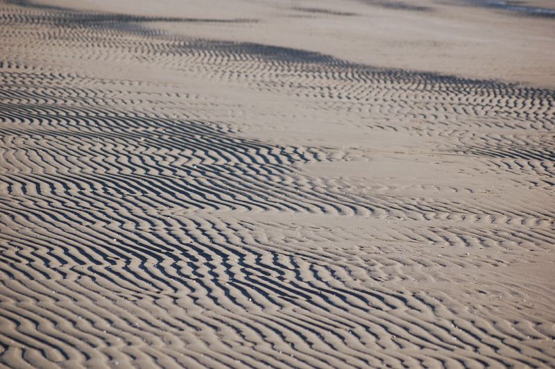 files/_uploads/2009_83_AbschiedvomStrand/6Stimmung2.jpg