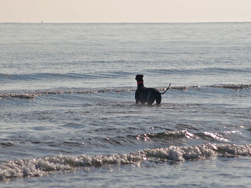 files/_uploads/2009_86_Jahreswechsel/3BibiimMeer.jpg