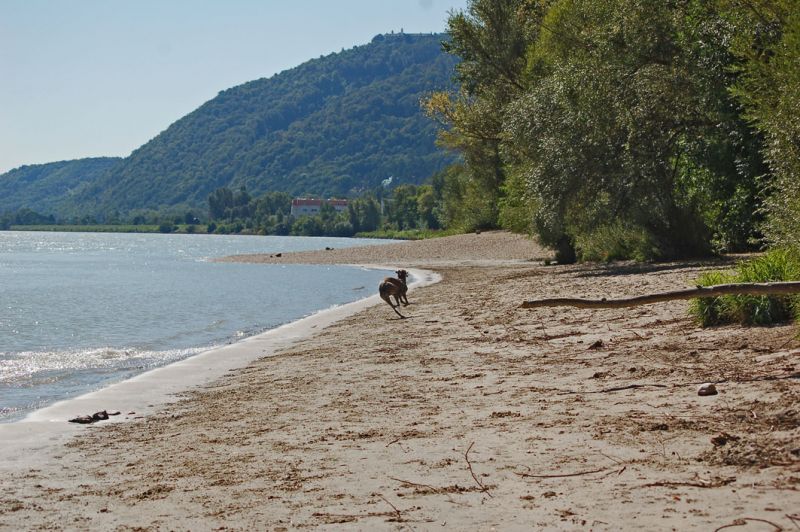 files/_uploads/2010_51_Donaustrand/Stimmung1.jpg