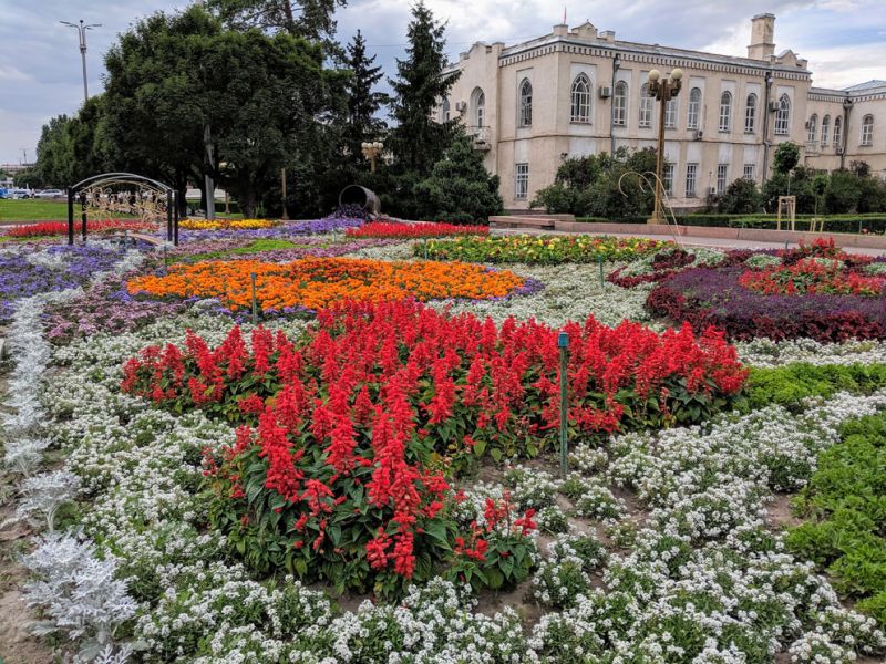 files/_uploads/2010_52l_Kyrgyzstan_d17/d17_Bishkek1Blumen.jpg