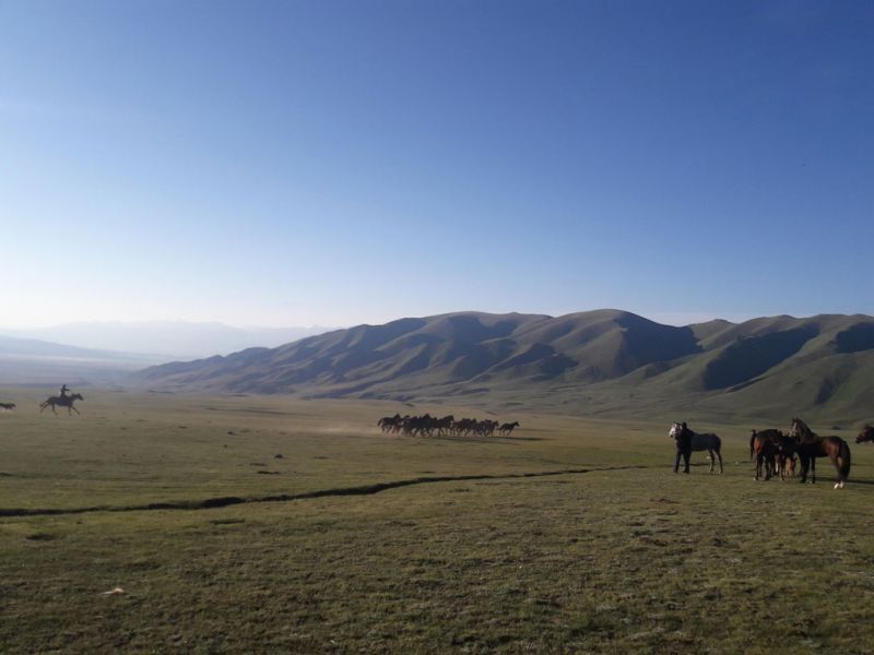 files/_uploads/2010_52l_Kyrgyzstan_d17/d17_Pferdefangen.jpg