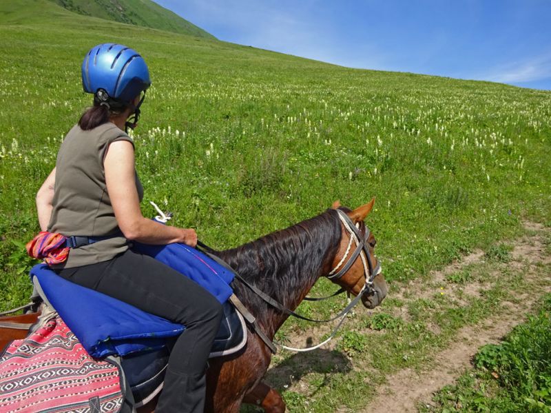files/_uploads/2010_52o_Kyrgyzstan_d14/d14_Trail19BlumenSusi.jpg
