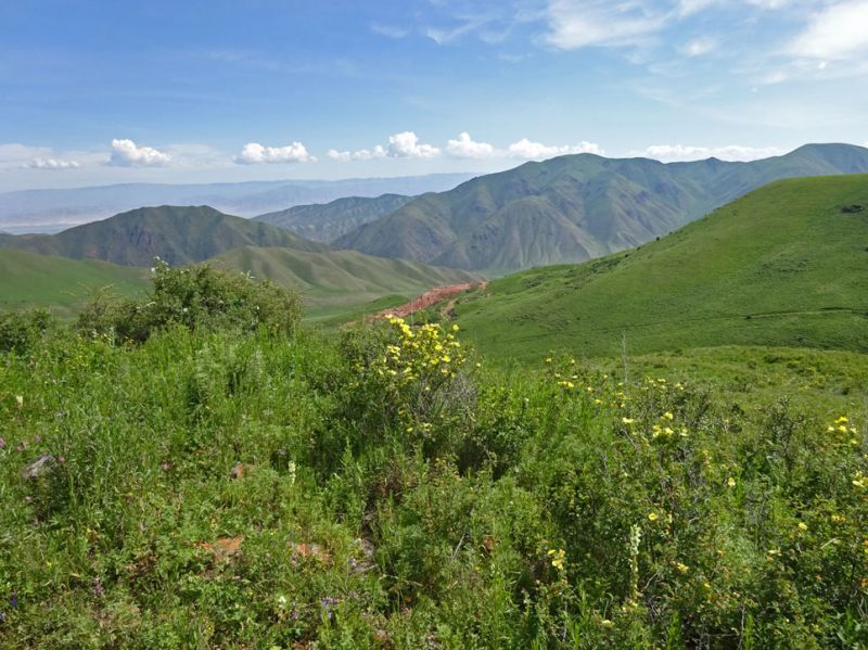 files/_uploads/2010_52o_Kyrgyzstan_d14/d14_Trail21.jpg