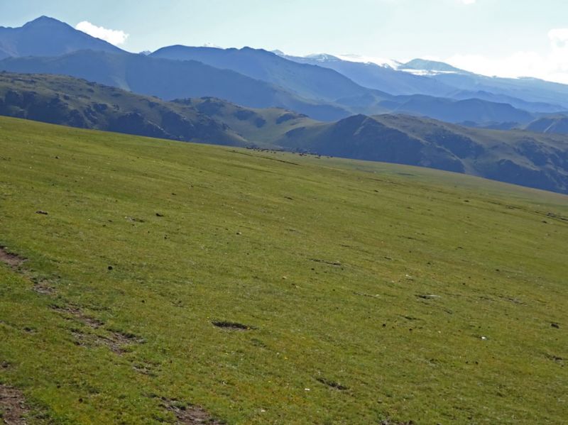 files/_uploads/2010_52p_Kyrgyzstan_d13/d13_Abritt6Blickzurueck.jpg