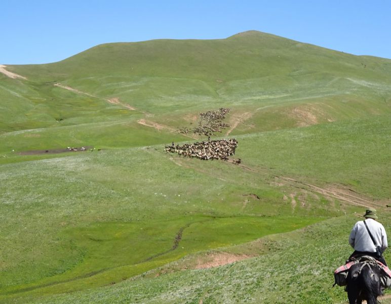 files/_uploads/2010_52r_Kyrgyzstan_d11/d11_Trail9.jpg
