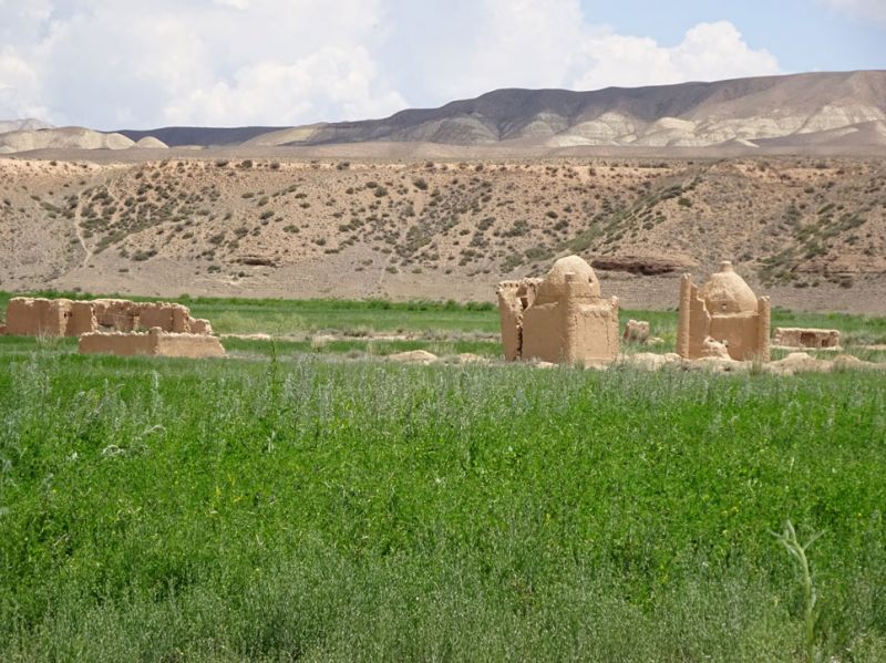 files/_uploads/2010_52w_Kyrgyzstan_d6/d6_Trail9Landschaft.jpg
