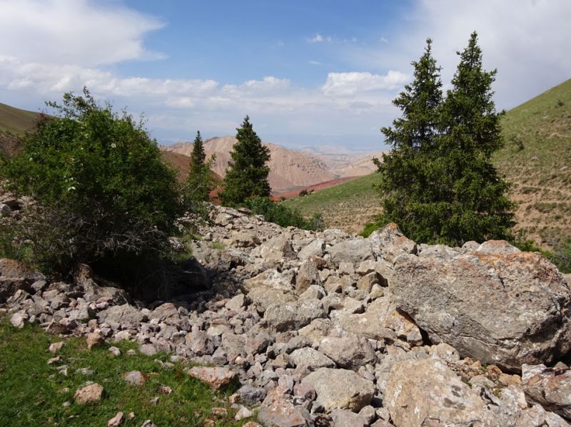 files/_uploads/2010_52x_Kyrgyzstan_d5/d5_Trail23.jpg