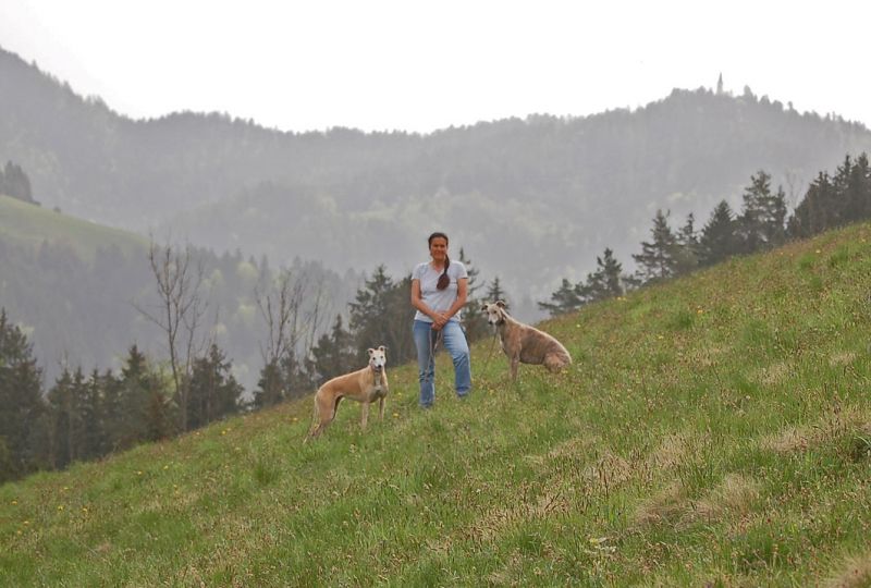 files/_uploads/2010_55_StippvisitederGrund/Slow_Ich1.jpg