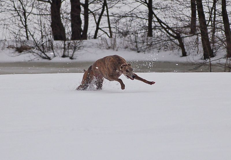 files/_uploads/2010_64_Firnschnee/Anniefetzt4.jpg