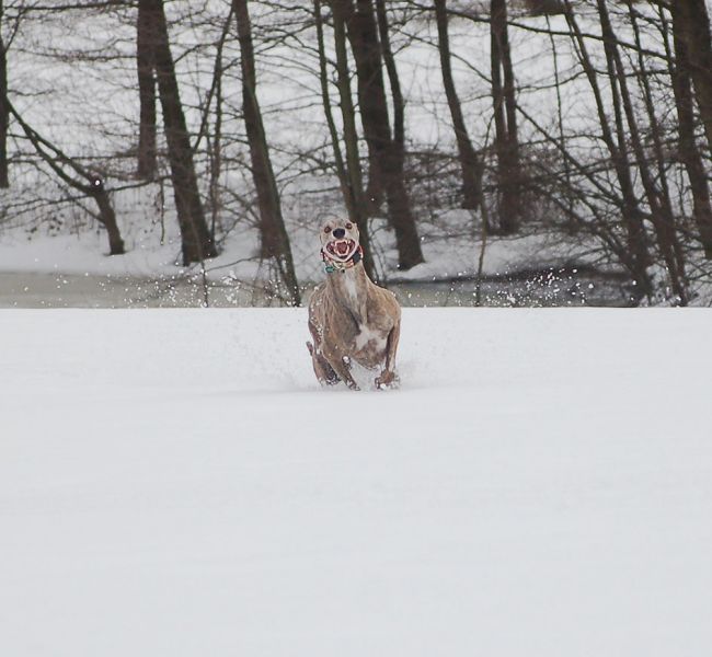 files/_uploads/2010_64_Firnschnee/Anniegrinst.jpg