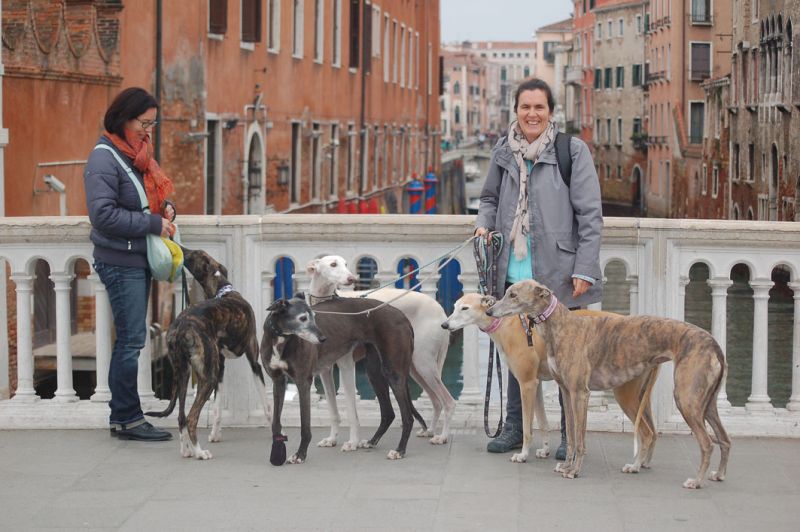 files/_uploads/2010_66_0_ItalyagainPartVenedig/wiralleVenedig1.jpg