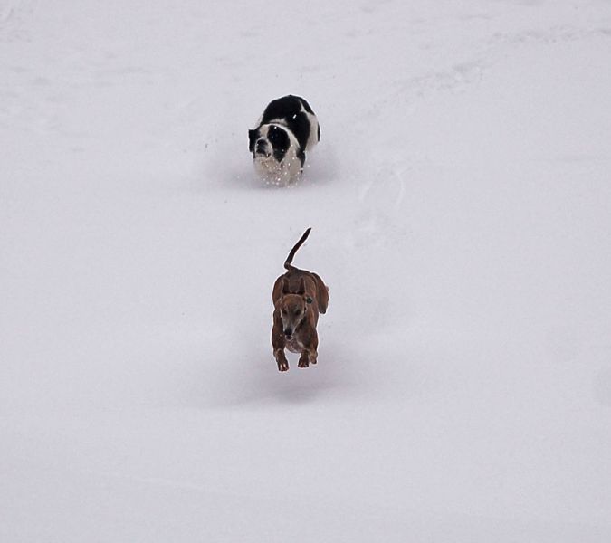 files/_uploads/2011_25_tieferWinter/BabsyAnnie8.jpg