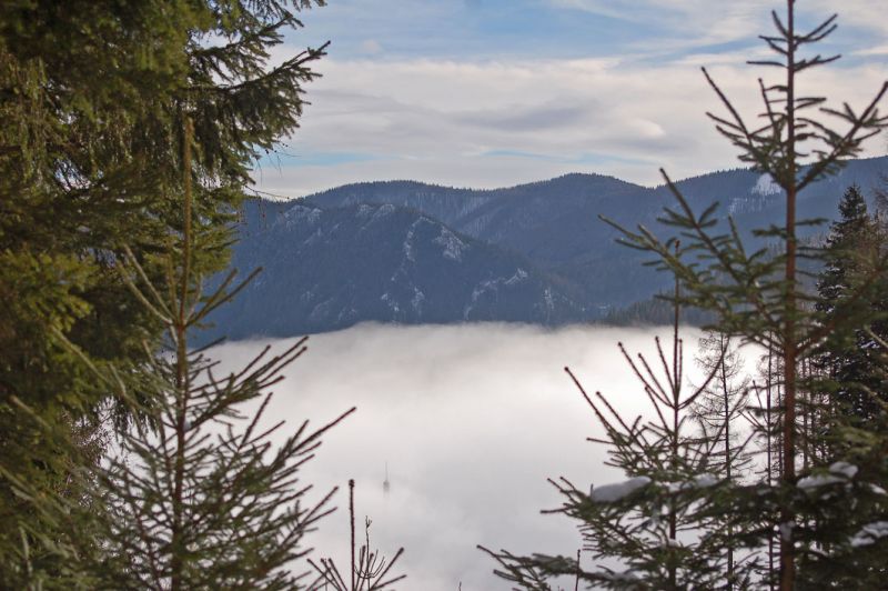 files/_uploads/2011_26_Raxwanderung/StimmungueberdemNebel.jpg