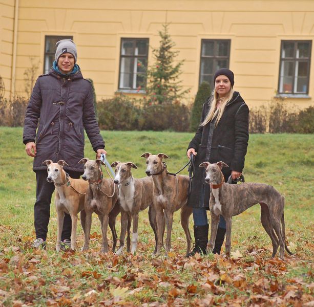 files/_uploads/2011_28_Eckartsau+Freunde/allevorSchloss_1.jpg