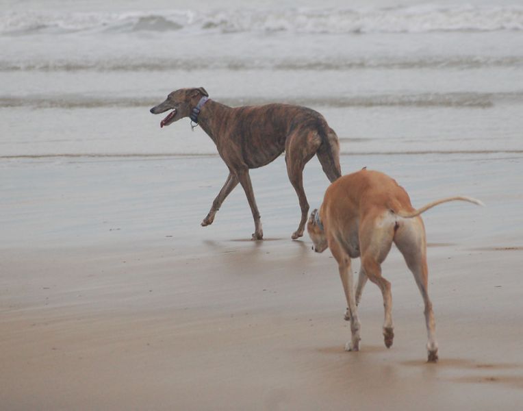 files/_uploads/2011_30_Italyagain/ChoiceAnnie15.jpg