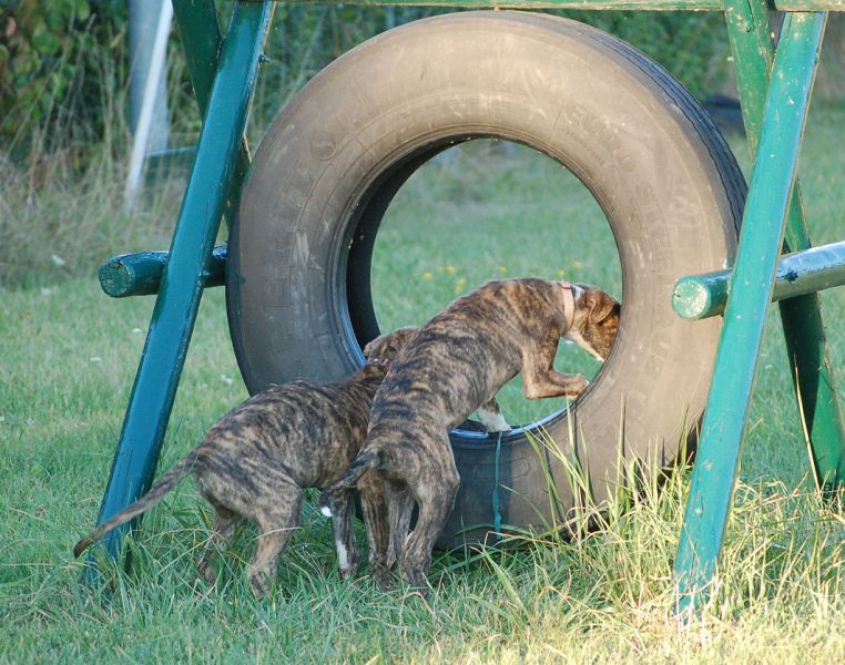 files/_uploads/2011_38_Woche12/2Entdecken2.jpg