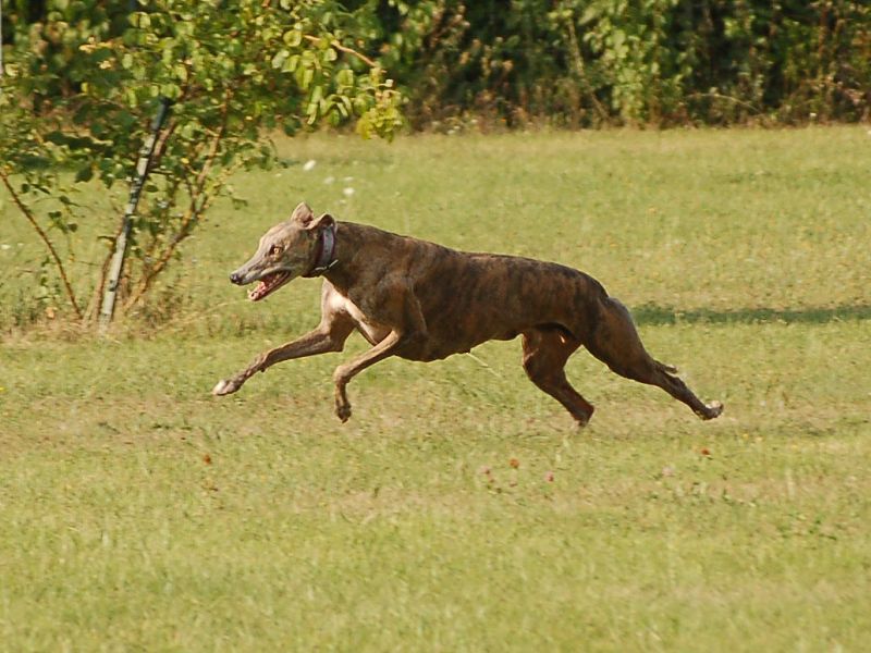 files/_uploads/2011_40_Woche11/1Anniefetzt1.jpg