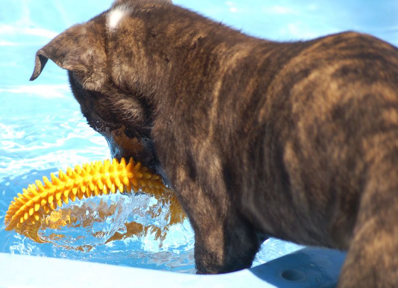 files/_uploads/2011_42_Woche9/2Wasserapport.jpg