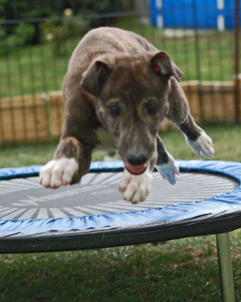 files/_uploads/2011_43_Woche8/4Richie.jpg