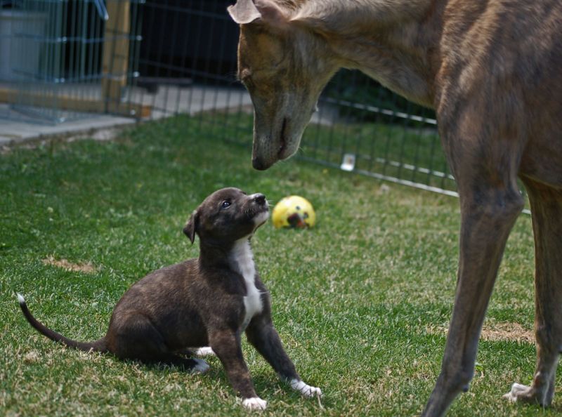 files/_uploads/2011_46_Woche5/1A+Breitweiss.jpg