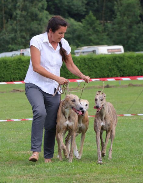 files/_uploads/2011_47_C_Klubsieger/00Zuchtgruppe1.jpg