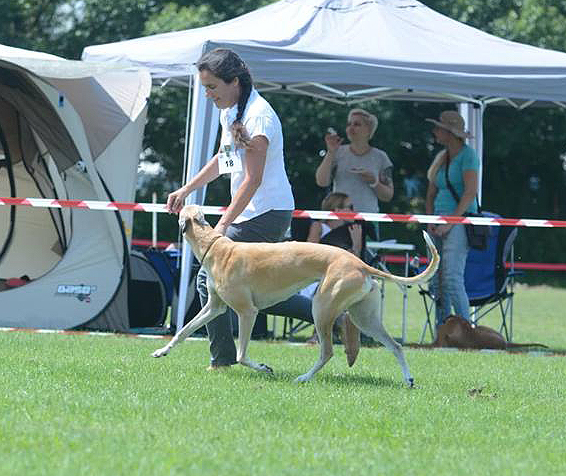 files/_uploads/2011_47_C_Klubsieger/0Choice4.jpg