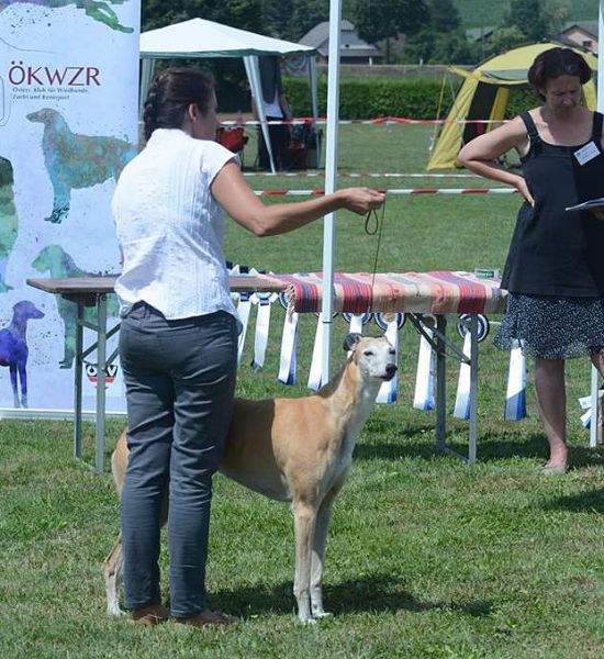 files/_uploads/2011_47_C_Klubsieger/0ChoiceStand1.jpg