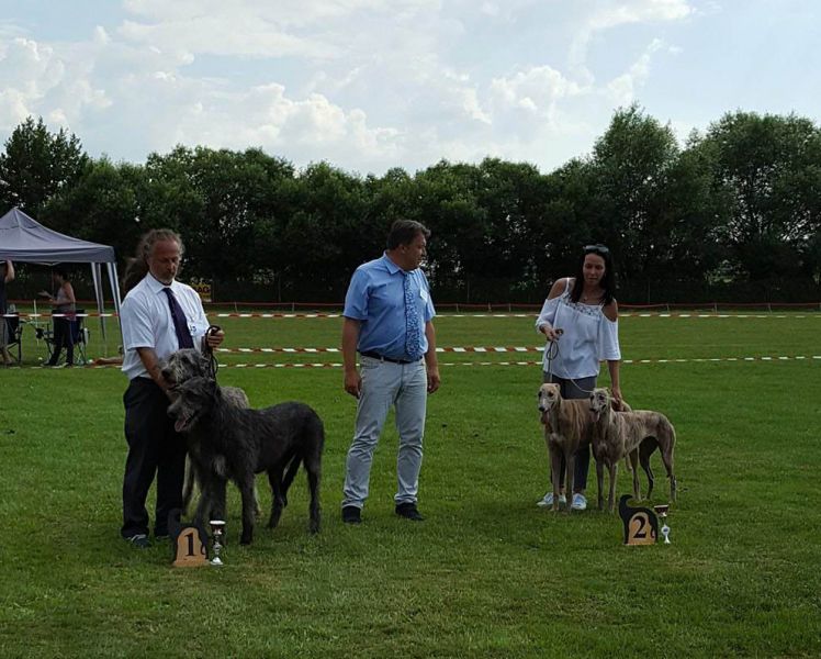 files/_uploads/2011_47_C_Klubsieger/0Paarklasse.jpg