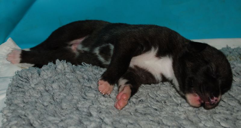 files/_uploads/2011_48_2.Woche/FiF.jpg