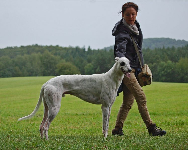 files/_uploads/2011_49_PandaAnnie/ClaudiaPanda2.jpg
