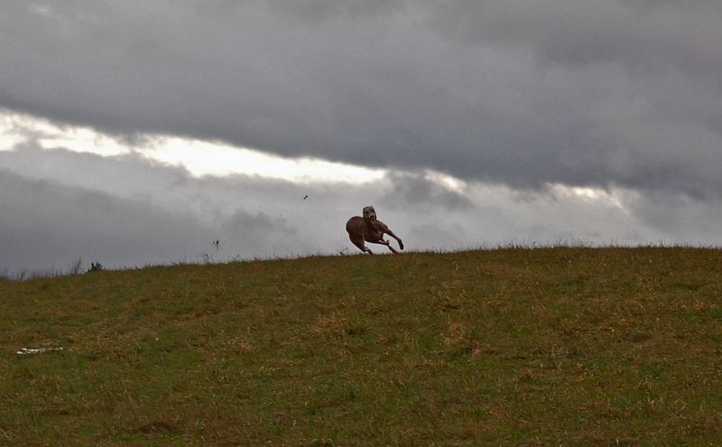 files/_uploads/2011_50_FruehlingimWinter/AnnieFlying1.jpg