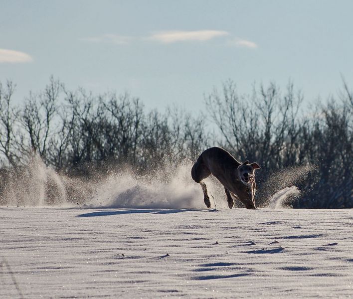 files/_uploads/2012_17_45_ersterSchnee/Annielustig2.jpg
