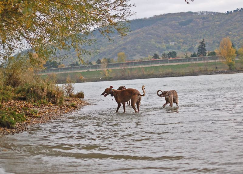 files/_uploads/2012_17_46_anderDonau/AllieAnnieTouchie3.jpg